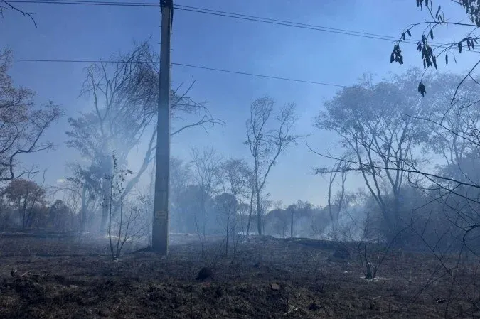 Incêndio em vegetação mobiliza bombeiros às margens da L4 Norte