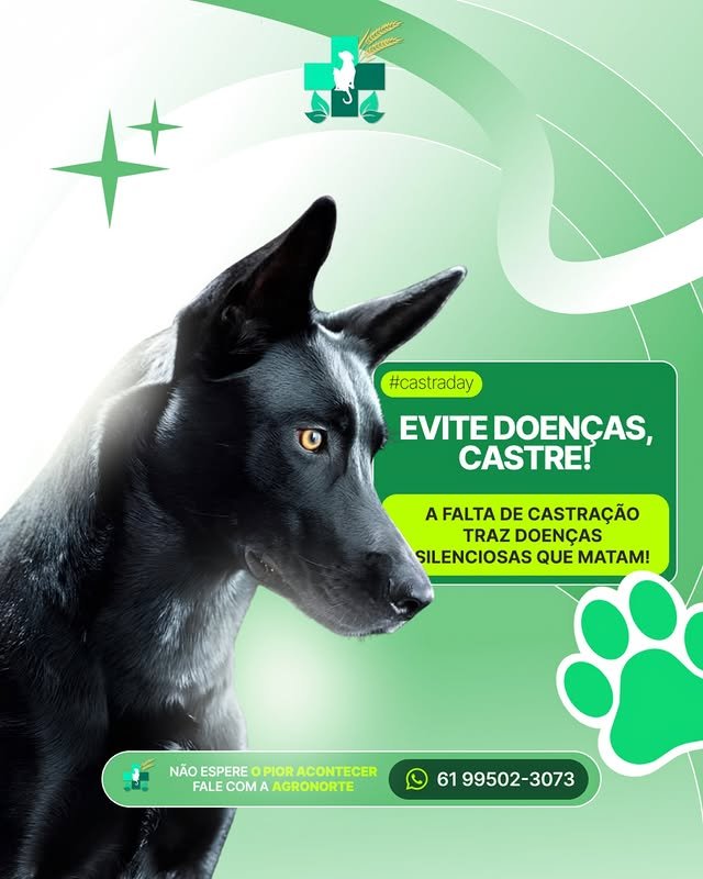 Promoção